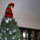 Elf hat on top of Christmas tree