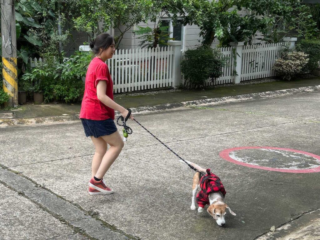 Walking our beagle, Penny, in Philippine suburbia