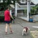 Walking the dog in Philippine suburbia