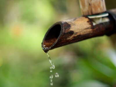 The suikinkutsu project