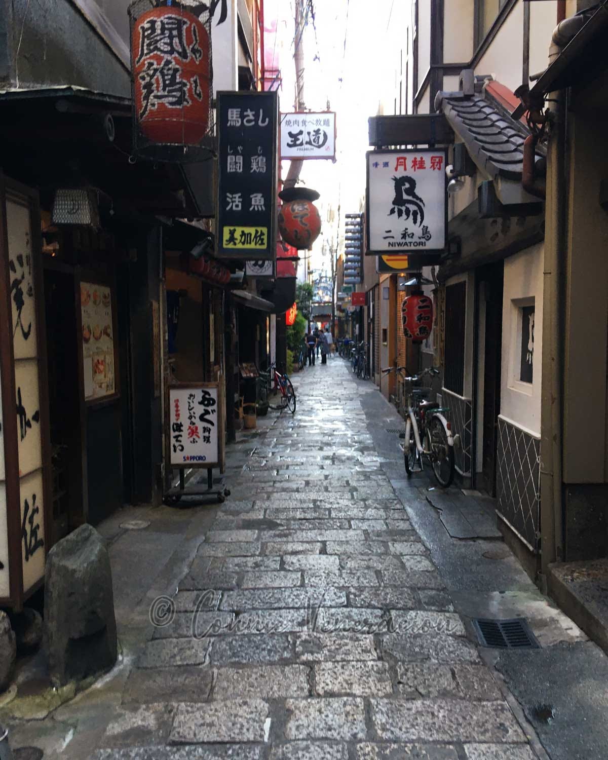 A quaint street in Osaka
